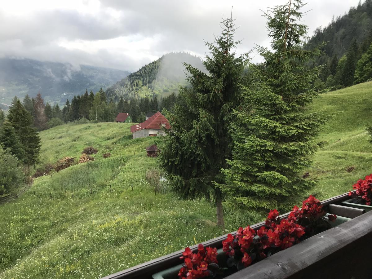 La Cabana Băile Borşa Bagian luar foto